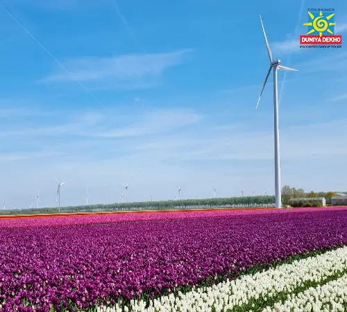 Duniya Dekho Highlights of Europe Summer 2026